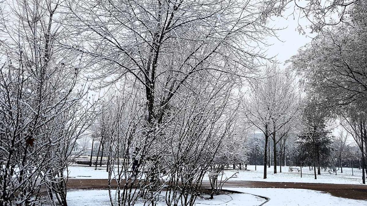 La reposición se ha realizado tanto en las zonas naturales como urbanas