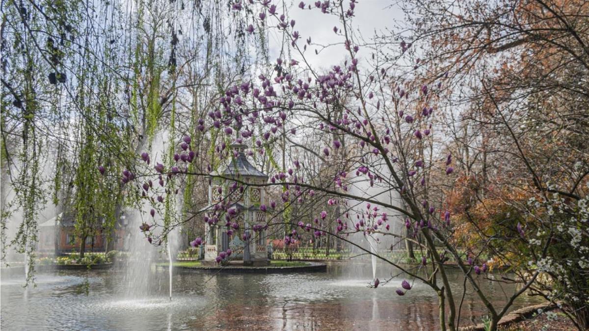 Se organizó por el XXIV Aniversario de Aranjuez como Paisaje Cultural Patrimonio Mundial