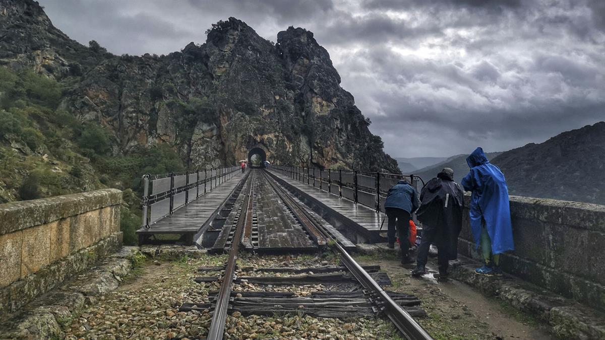 En el concurso se han presentado un total de 42 obras
