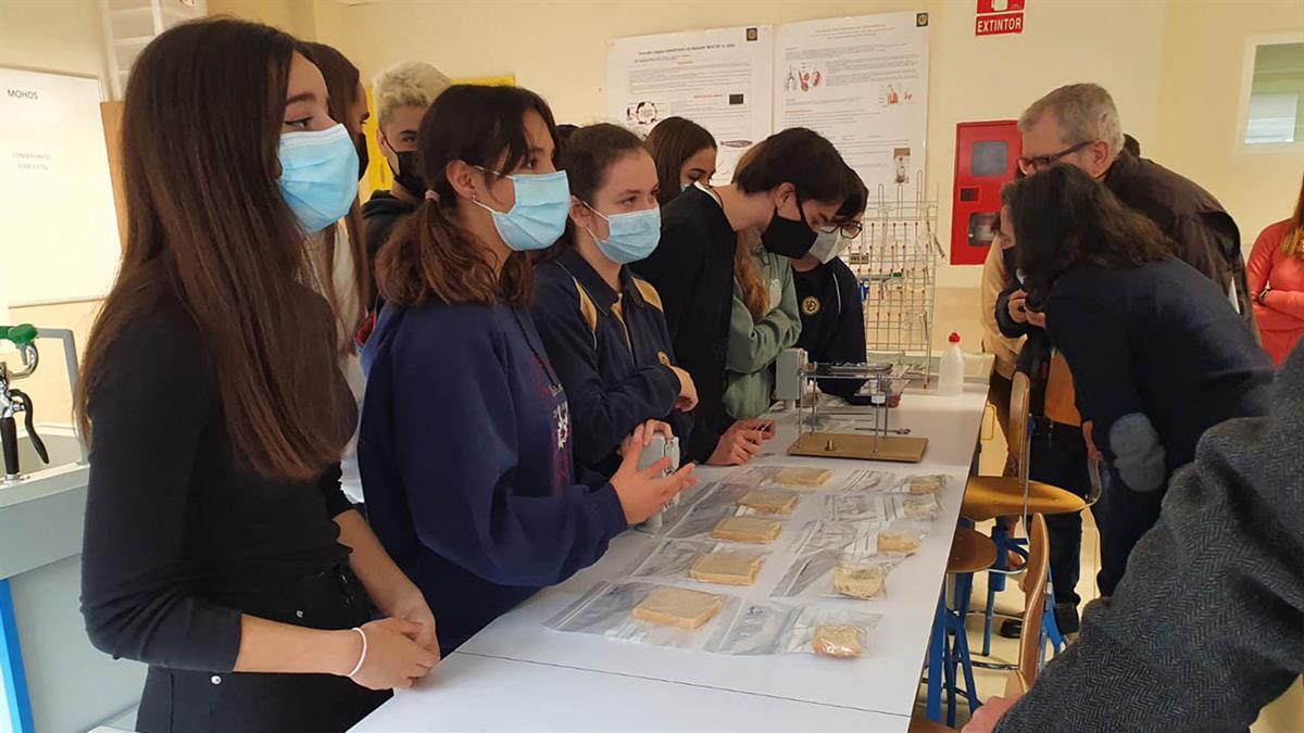 El jurado del concurso dio a conocer los distintos premios tras visitar ayer los trabajos de investigación científica presentados por los estudiantes 