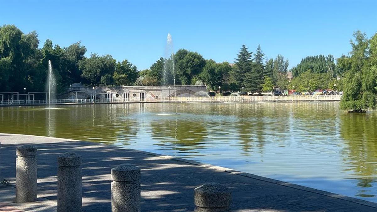 Están ubicados en la Laguna del Carrizal