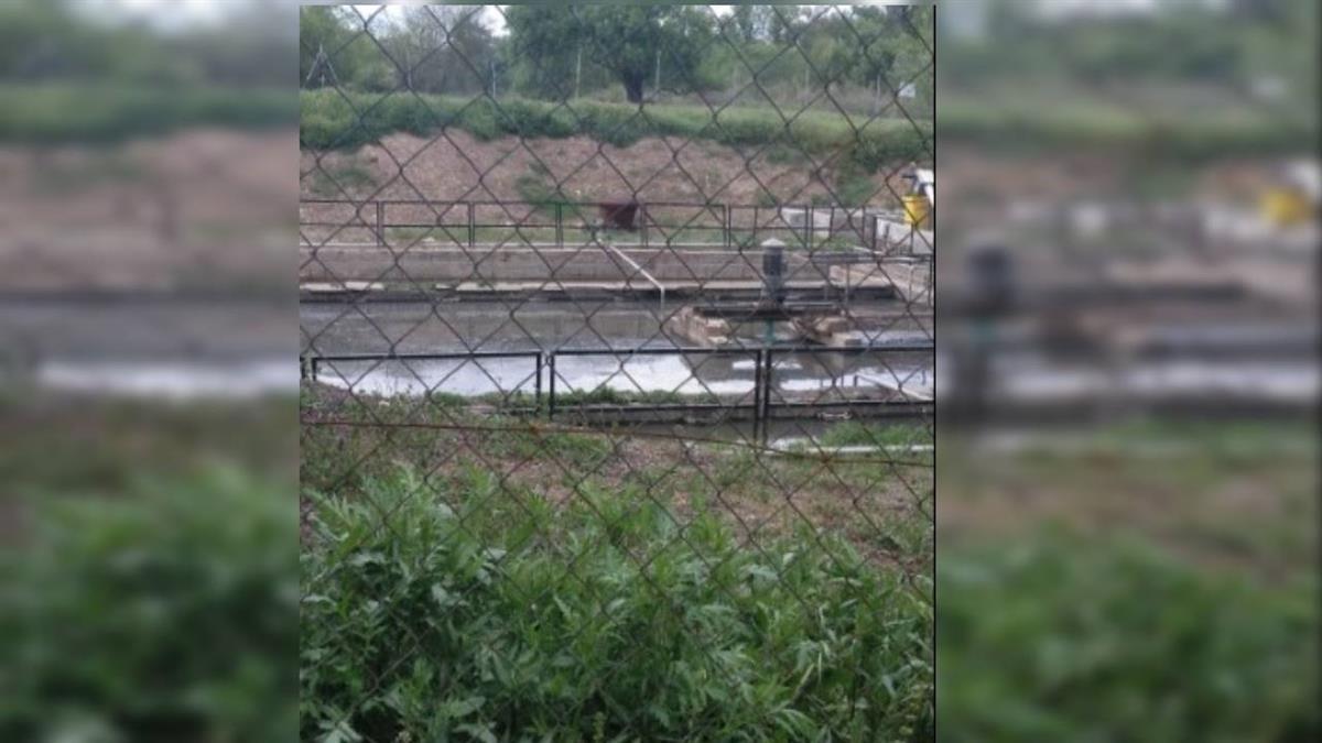 Los socialistas deben asumir su competencia