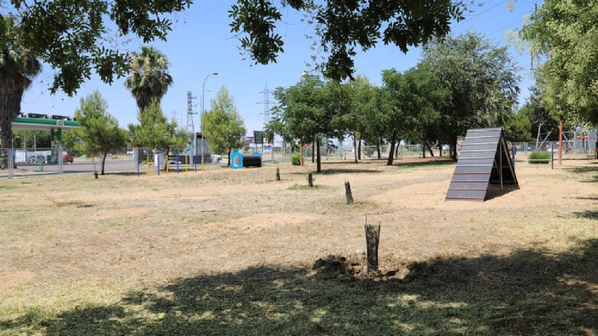 Con esta apertura la ciudad suma 14 espacios de esparcimiento para perros