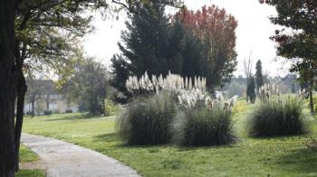 El gobierno municipal aprueba la petición de 2,8 millones de euros para el proyecto