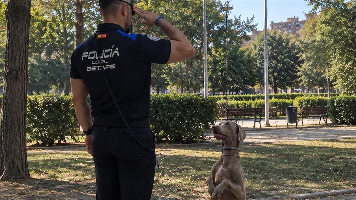 La Policía Local suma un braco a sus labores de prevención y seguridad, mientras una campaña de tráfico detecta 27 infracciones por distracciones al volante