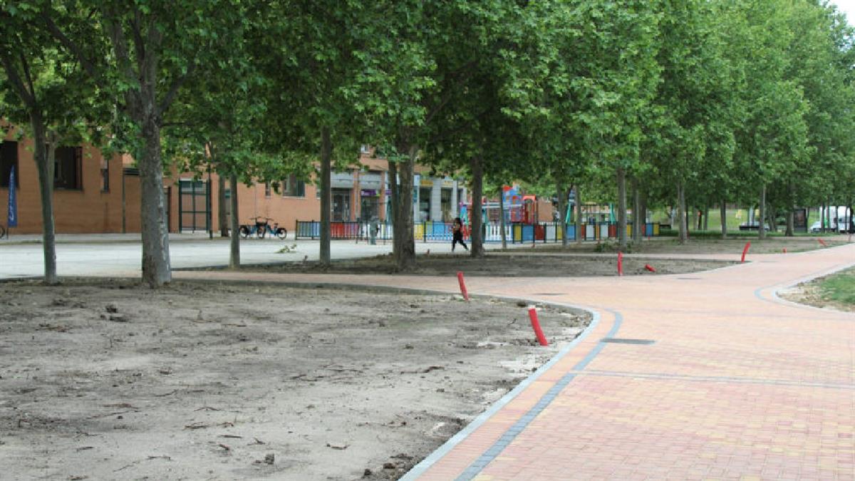 El Ayuntamiento plantará árboles en el caballón natural de la M-45