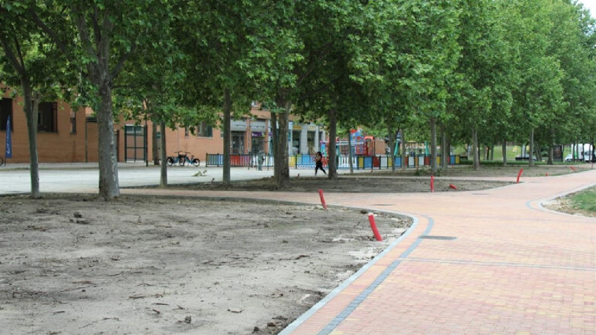 El Ayuntamiento plantará árboles en el caballón natural de la M-45