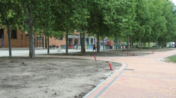 El Ayuntamiento plantará árboles en el caballón natural de la M-45