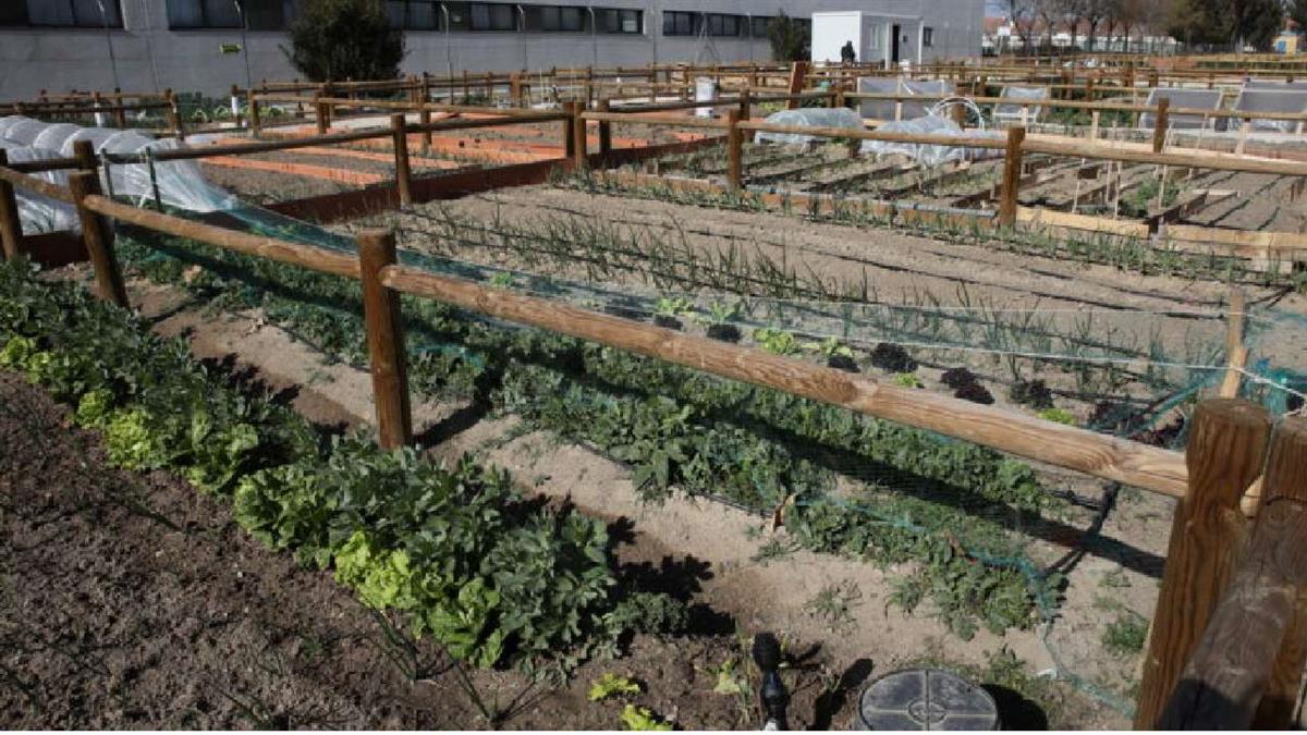 Se trata de una iniciativa internacional que promueve la transición hacia sistemas alimentarios más sostenibles y basados en vegetales