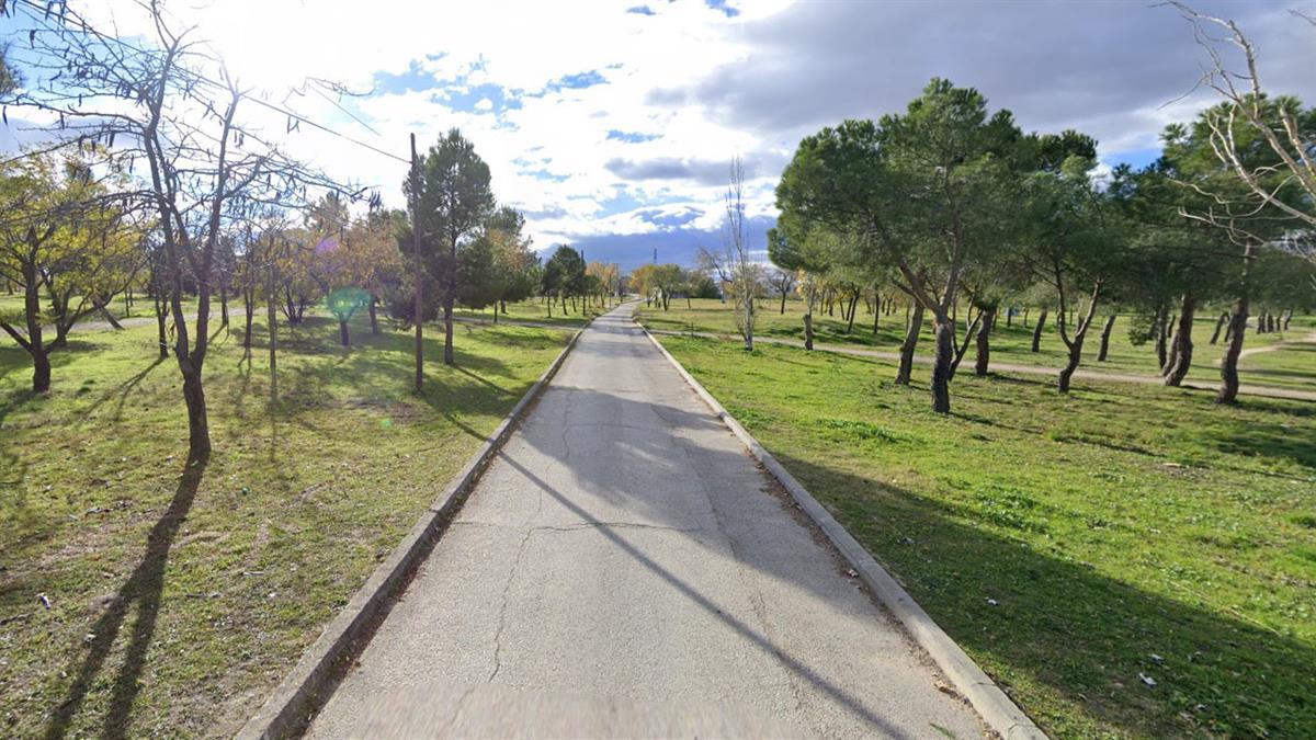 El ayuntamiento también pretende desarrollar nuevos métodos para su cuidado