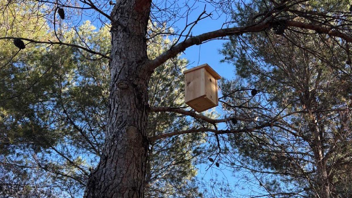El Ayuntamiento avanza en la aplicación del Plan de Acción y Mejora de la Biodiversidad