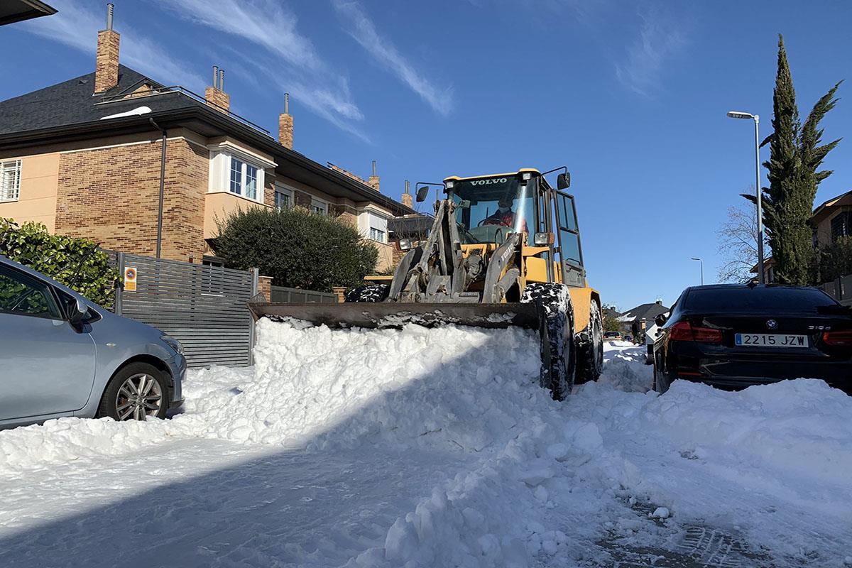 Tras las catástrofes provocadas por la borrasca Filomena, la fauna salvaje se ha visto claramente afectada 