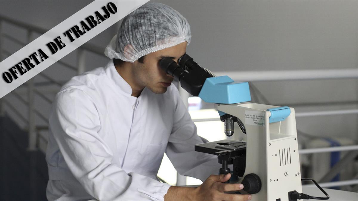 Manpower ha publicado la oferta de trabajo con todos los requerimientos para los nuevos empleados