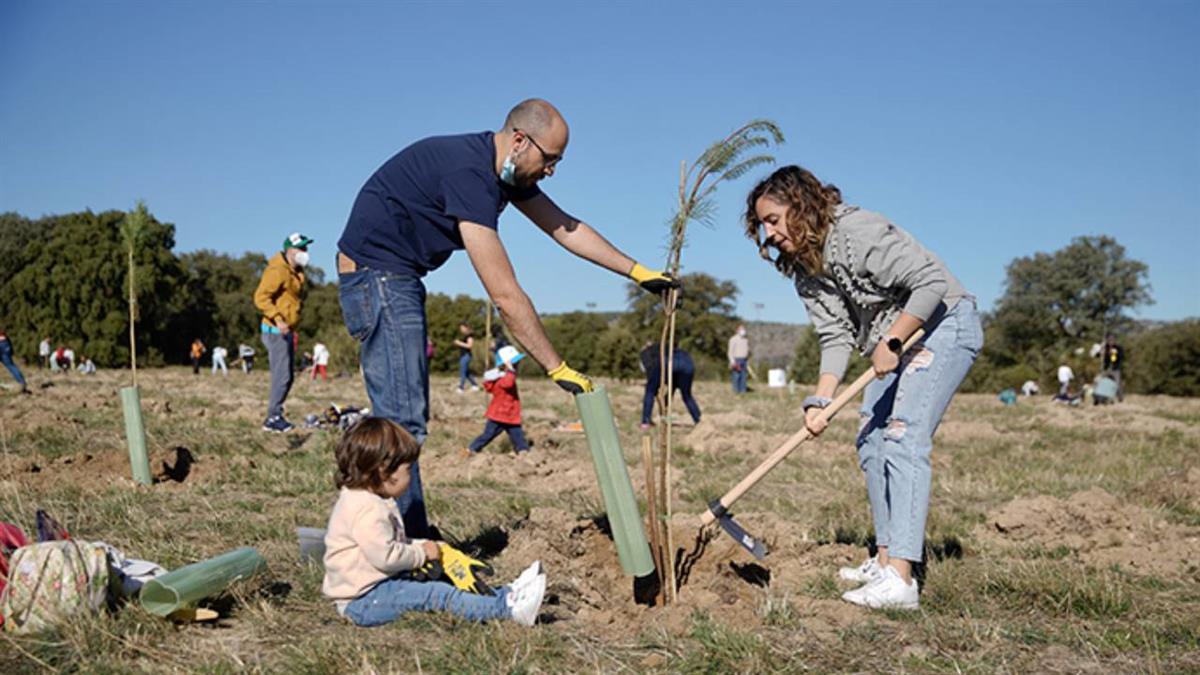 Se ampliará la anterior plantación en el área natural de la Cuenca del Lazarejo