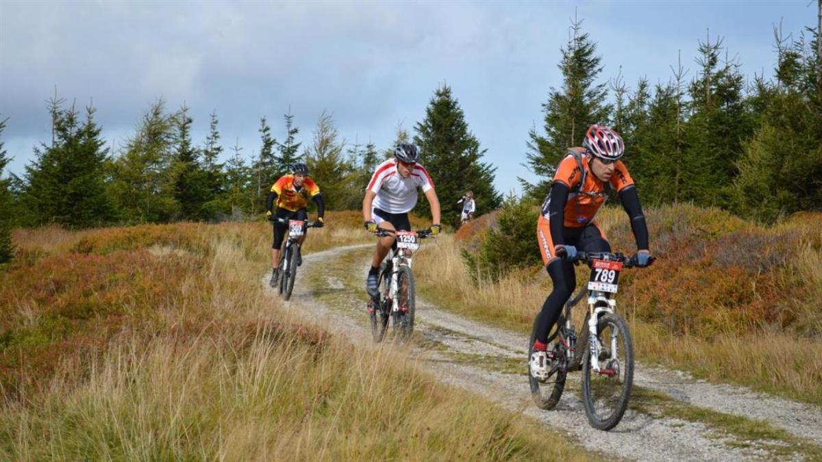 En la carrera van a participar más de 2.000 deportistas