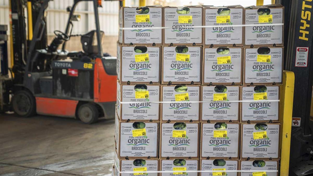 ¿Tienen un impacto positivo los compromisos ambientales de las grandes corporaciones? 