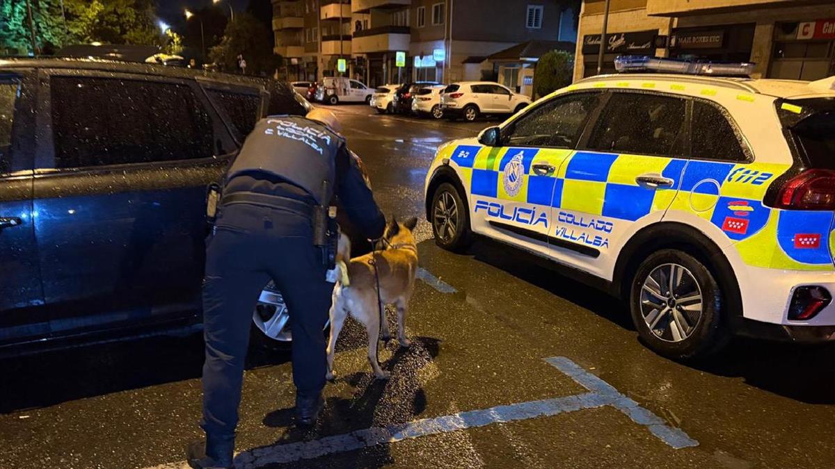 La Policía Local y la Guardia Civil refuerzan la vigilancia en la calle Los Madroños