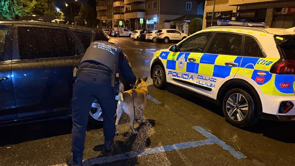 La Policía Local y la Guardia Civil refuerzan la vigilancia en la calle Los Madroños