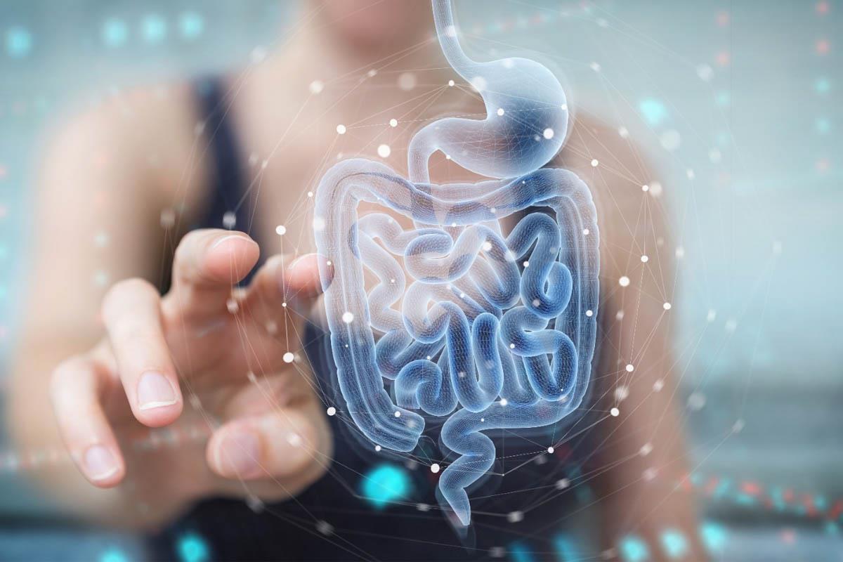 La salud de la microbiota es muy importante ya su equilibrio incide en nuestra salud, estado de ánimo y en las enfermedades