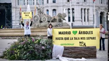 Greenpeace regala a Almeida un ramo de cuatro metros confeccionado con la rama de las talas de Madrid