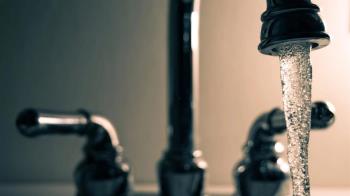 El Partido Socialista propone una campaña de sensibilización para todos