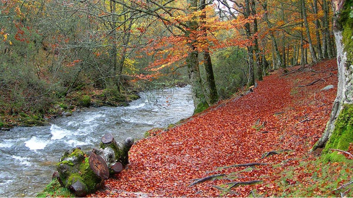 El Consejo de Gobierno da luz verde al acuerdo con el Ayuntamiento de Montejo de la Sierra sobre esta Reserva de la Biosfera de la Sierra del Rincón
