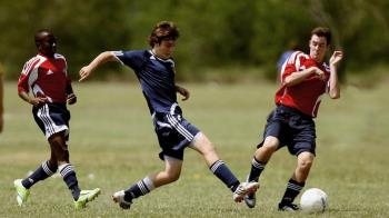 Las actividades tendrán lugar en distintos colegios 