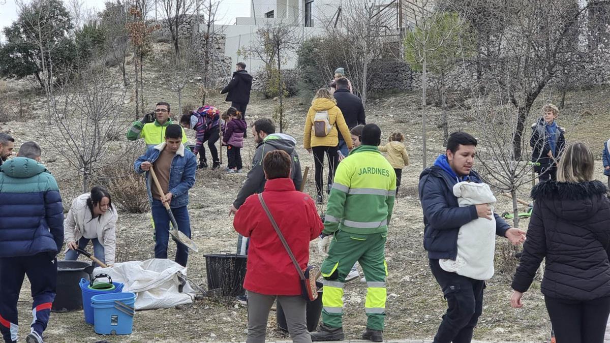 Llega la tercera campaña de Hazte guardián de un árbol