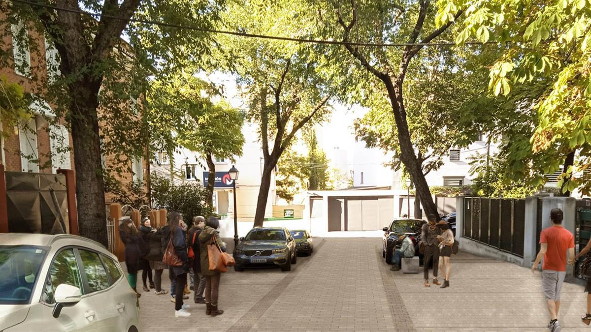 La Junta de Gobierno autoriza el incremento del presupuesto del nuevo pliego de este servicio encargado de resolver las situaciones de riesgo del arbolado municipal
