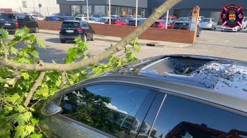 El vecino del municipio circulaba con su coche cuando el impacto con la rama rompió el techo de cristal de su vehículo provocando cortes