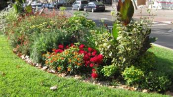 
El espacio verde está ubicado frente a la calle de Segura, en el barrio de Orcasitas

