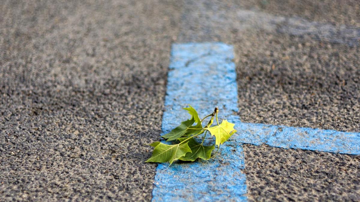 EL Servicio de Estacionamiento Regulado (SER) ya tiene nuevo horario para el mes de agosto