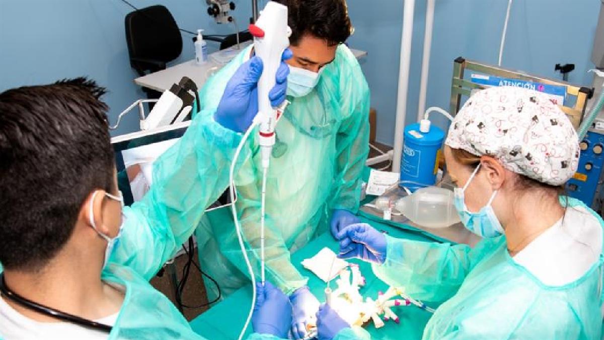 El Hospital público de Getafe aplica impresión 3D para mejorar la información a pacientes y la formación de especialistas

