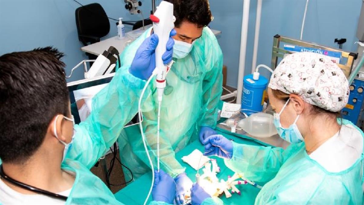 El Hospital público de Getafe aplica impresión 3D para mejorar la información a pacientes y la formación de especialistas

