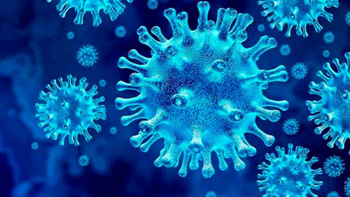 En un paciente que regresó de Sudáfrica e hizo escala en Ámsterdam