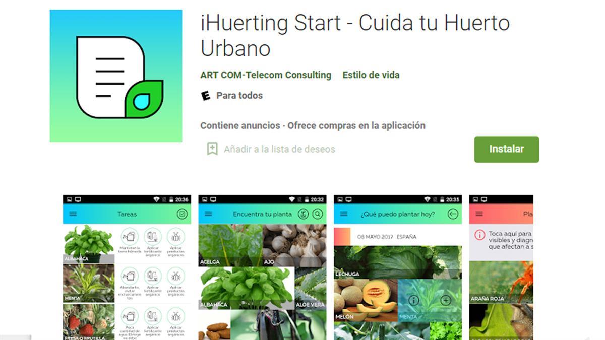 Cultiva paso a paso las plantas que te interesen con ayuda de la app