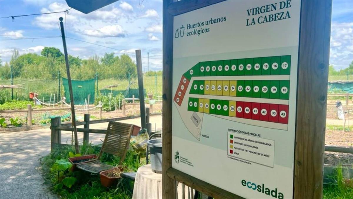 Ubicados en la parcela municipal en Virgen de la Cabeza 