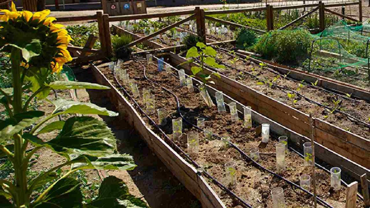 Abierto el plazo de solicitudes de los 66 disponibles