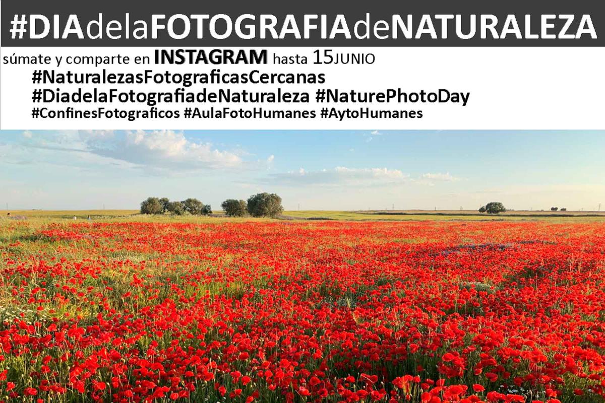 El consistorio propone compartir instantáneas en redes sociales que ilustren la naturaleza del municipio
