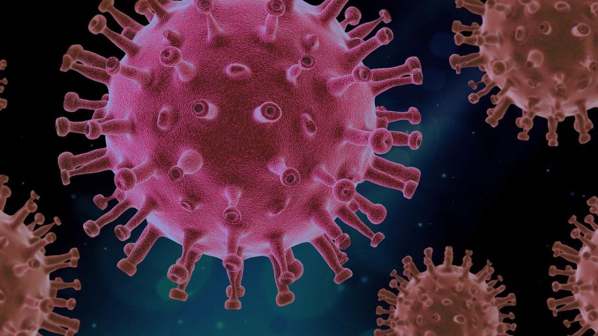 La cifra total de casos confirmados desde que comenzó la pandemia de coronavirus en el municipio asciende a 2.184