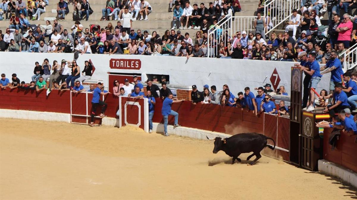 Es una de las grandes novedades en la programación de los festejos populares 