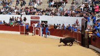 Es una de las grandes novedades en la programación de los festejos populares 