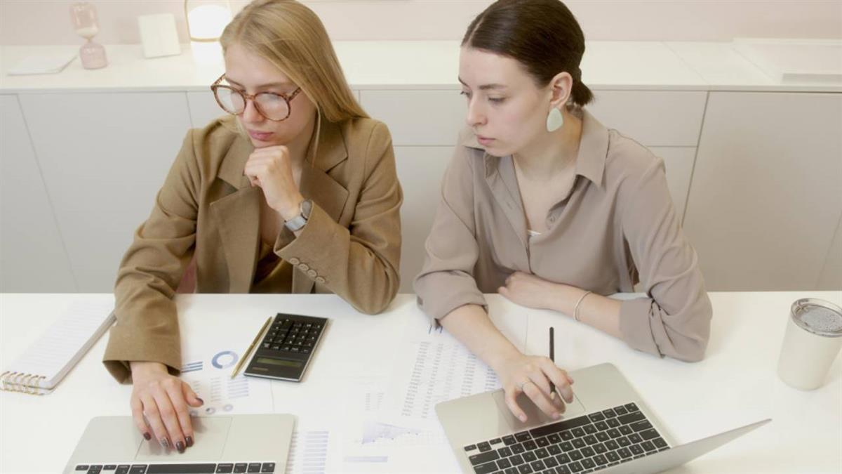 A través de diferentes proyectos y programas 