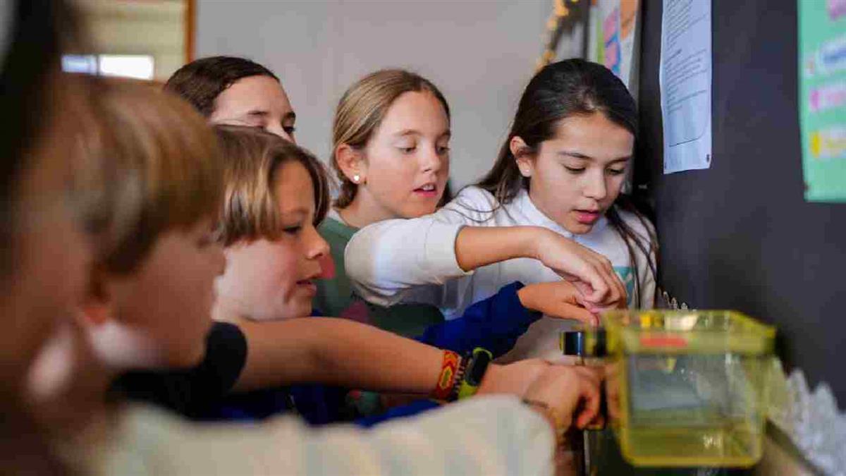 Los alumnos de Primaria de todos los centros educativos de la región pueden ocupar una de las 100 plazas disponibles
