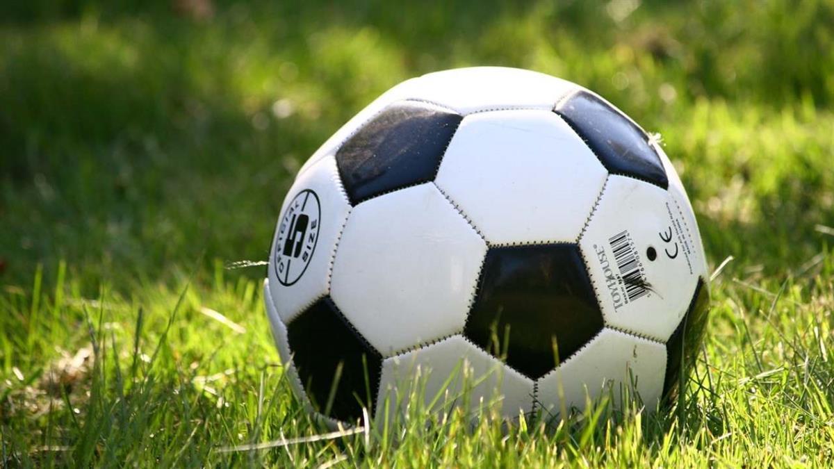 En colaboración con la Asociación Amigos Alfolí 