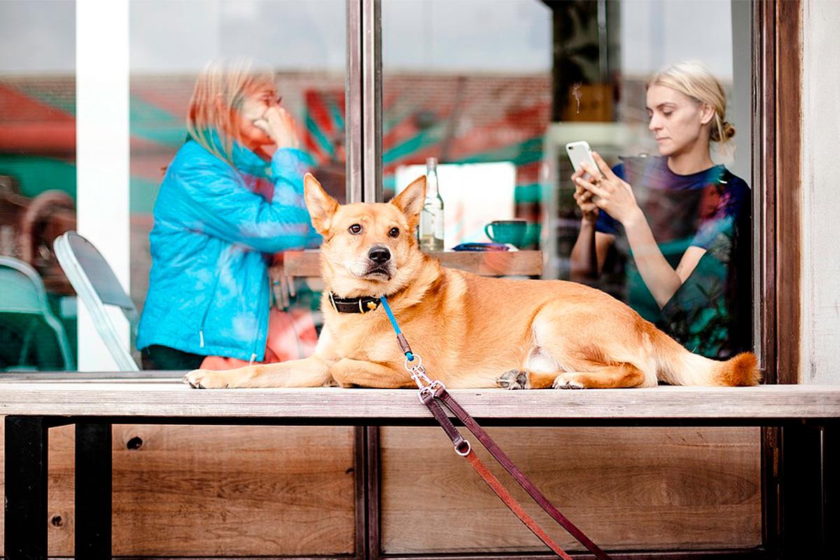 Esta iniciativa está abierta a todos los establecimientos de comercio y hostelería