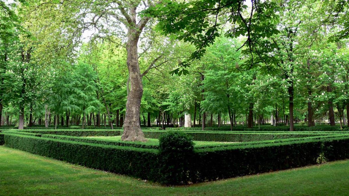 El objetivo es proveer agua a las zonas verdes y arbolado de forma eficiente, monitorizando los contadores de agua en tiempo real 