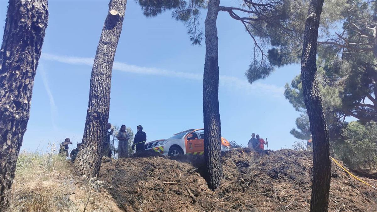 Diversos testigos vieron a una persona sospechosa merodeando por la zona