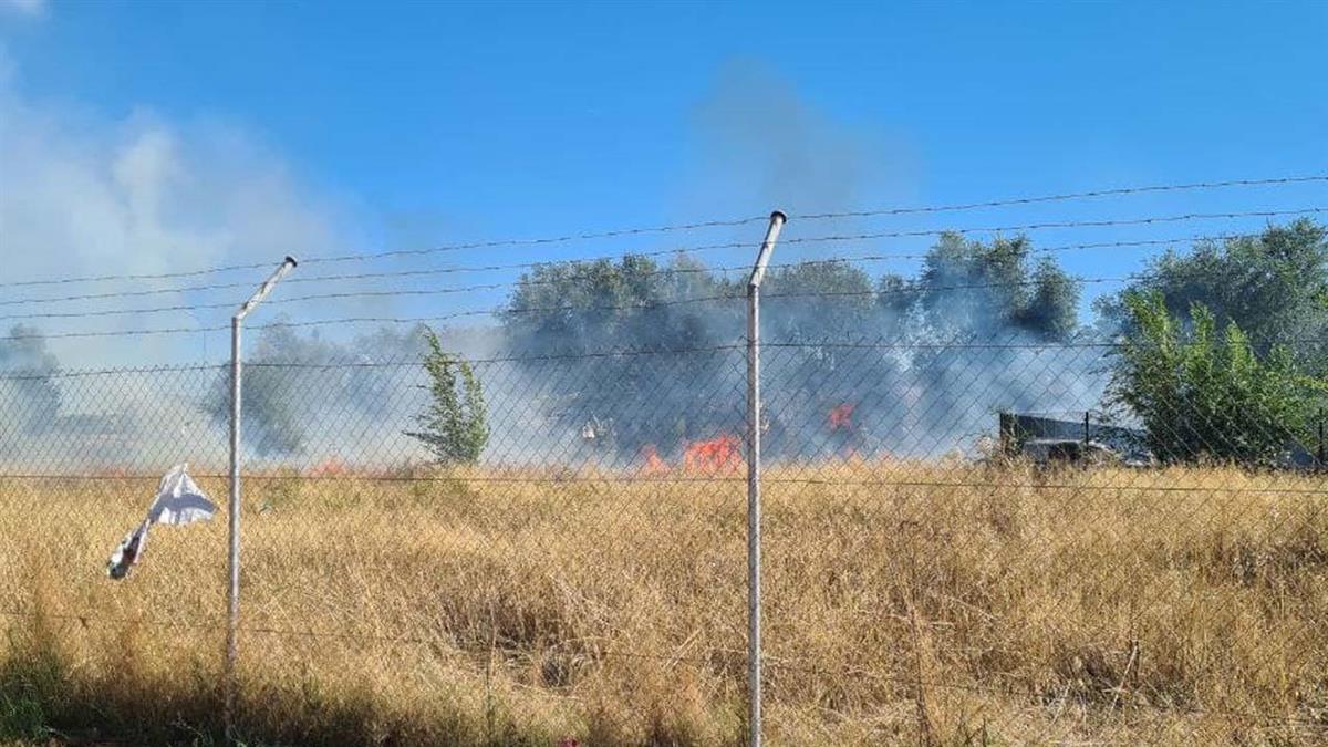 Los Bomberos de la Comunidad de Madrid realizaron la extinción del fuego