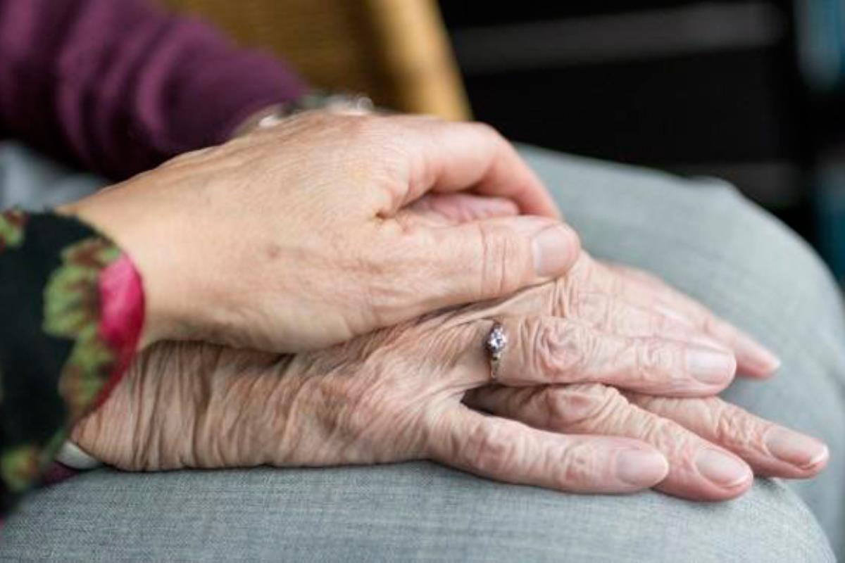 El Ayuntamiento de Pozuelo ha habilitado un espacio con datos, teléfonos y propuestas